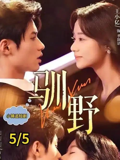 雾港疑云刑侦剧全集手机在线观看